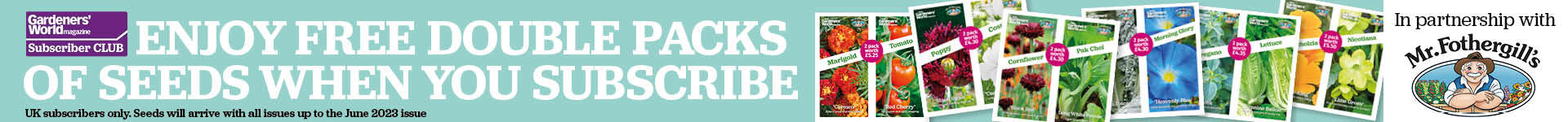 Treat Yourself to a Magazine Subscription