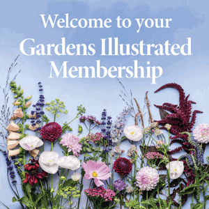 Gardens Illustrated Print & Digital Magazine Subscription