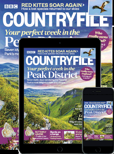 BBC Countryfile Print & Digital Magazine subscription