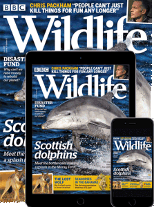 BBC Wildlife Print & Digital Magazine Subscription