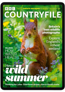 BBC Countryfile Digital Subscription