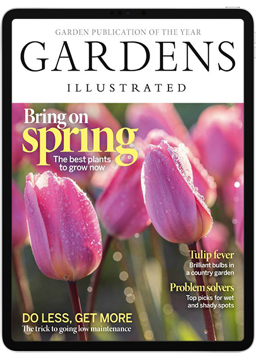 Gardens Illustrated Digital Subscription