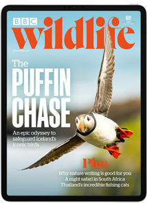 BBC Wildlife Digital Subscription
