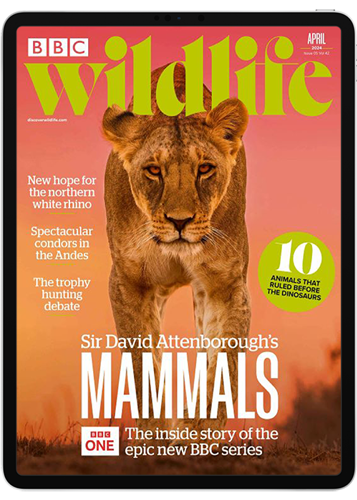 BBC Wildlife Digital Subscription