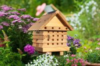 Interactive Solitary Bee Hive