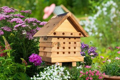 Interactive Solitary Bee Hive