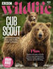 Wildlife_issue501_cover.jpg