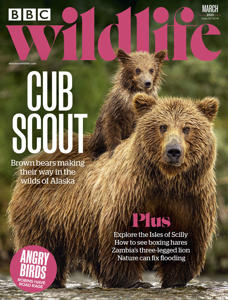 BBC Wildlife Magazine Subscription